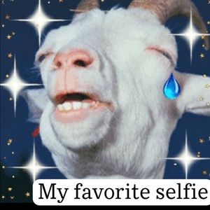 Meet your Posher, Quinn